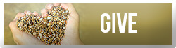 Give